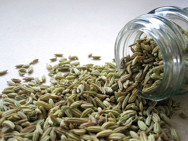 Fennel Seed